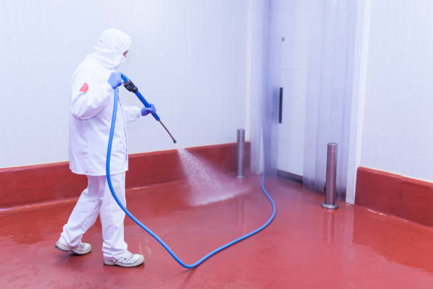 Best Dumpster Area Cleaning  in Seaford, DE